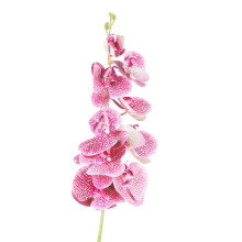 Naturtrogna konstgjorda blommor äkta touch fjärilsorkidé lila livfulla färger höghållfasta miljövänliga plastväxter böjbara stjälkar för