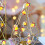 Multicolor LED Christmas Lights 6.6 ft 20-count Battery 4