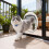 Clear Round Cat Door 11.8 Inch 4-Way Locking 5