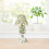 Enamel Trinket Box White Desktop Keepsake Box 1 Piece 7