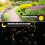 8Pcs 9.84ft Solar Jar String Lights, 30LED Mason Jar Lid Inserts, Waterproof, Auto On/Off (No Jar) 7