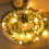 Christmas simulated leaf lights with white balls 20 LED 5