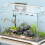 20St Visbroed Spawning Violet Touw Aquariums En Viskweek 11