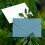 Business Envelopes Colorful Flap 20 Pcs 5