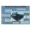 Ancinho de folhas profissional RBRB Red Baron de 20 polegadas, modelo com saco para trapos 2