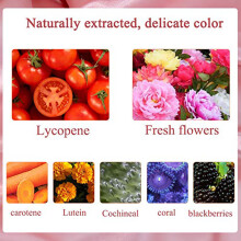 16 Farben DIY Lipgloss-Pulver 1g Lippenstiftbasis Natürliche Pigmente