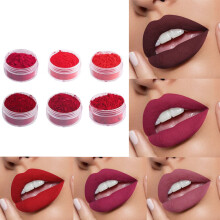 16 Farben DIY Lipgloss-Puder-Set 1g Natürliche Pigmente für Lippenstift