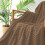 Golden Turtle Velvet Blanket Thick Soft Black 8