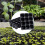 (10pcs) 12-Hole Seed Starter Pots with Drainage Holes 3