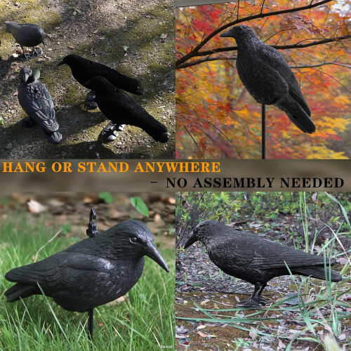 Δόλωμα Crow από πλαστικό, ολόσωμο για κυνήγι, μαύρο δόλωμα Crow με πόδια για 2