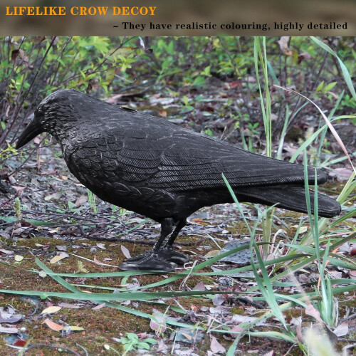 Crow Decoy Plastic Full-Body Black with Stake 2