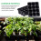 (10pcs) 12-Hole Seed Starter Pots with Drainage Holes 1