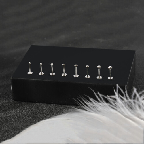 Stainless Steel Labret Lip Rings Claw CZ Threadless Round 2