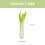 Fake Celery Sticks Simulation Celery Model PU 1Set Photo Prop 2