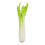 Fake Celery Sticks Simulation Celery Model PU 1Set Photo Prop 5