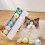 Cat Toy Balls Set Soft Fuzzy Plush 4 Pcs 3