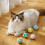 Cat Toy Balls Set Soft Fuzzy Plush 4 Pcs 4