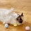 Cat Toy Balls Set Soft Fuzzy Plush 4 Pcs 6