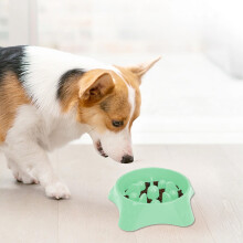 Dog Bowl Slow Feeder, Slow Feed Dog Bowls, Slow Pet Food Dish for Medium and Small Dog, Stop Bloat, Preventing Choking, Green