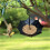 Bird Feeder Umbrella-Shaped Metal Hanging 1 Piece 2