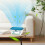 Air Magics Box Plant-Based Power-Free Air Purifier Dust 4