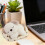 Plush Toy with Bed 5.5 Inch White 7