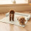 Pet Sofa Cushion 75x75cm Plush Dog Bed 1