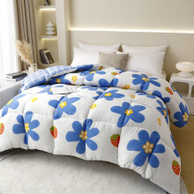 Queen Comforter Set Quilt Winter Thick Models Double Quilt Winter Quilt Warm Thickened Cotton Quilt Throw Blanket
