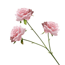 Décorations de cœurs artificiels pour extérieur (24 pièces)
