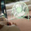 6" Quiet USB Desk Fan, 360 Adjustable, Green – Compatible with USB Power Sources 6
