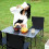 Ultralight Portable Folding Chair with Carry Bag Medium 2