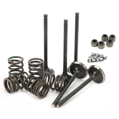 YAMAHA GRIZZLY 660 Valve Assembly Replacement Kit for  Models