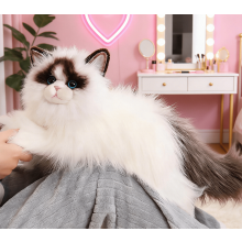 Realistic Ragdoll Cat Plush Toy – Soft, Lifelike, Fluffy Stuffed Animal for Home Decor & Adult Comfort, White, 19.69in