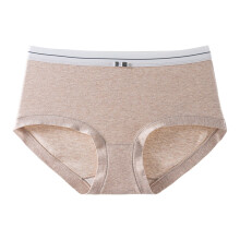 Women's Underwear Cotton Hipster Panties Low Rise Briefs Soft Strench Breathable Ladies Underwear