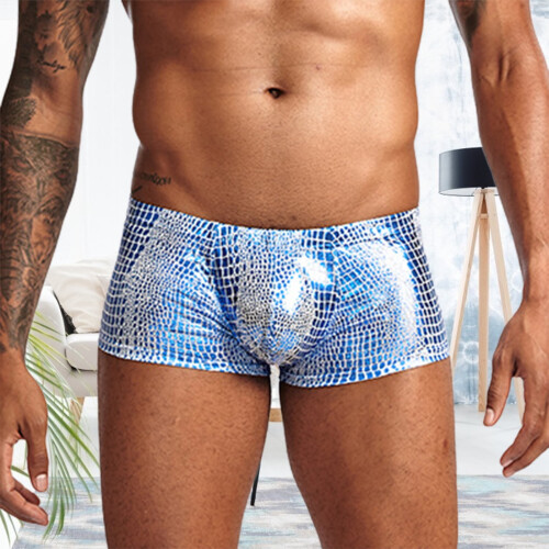 Men's Briefs Polyester Low Waist Underpants Silver 2