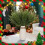 Kunstmatige dennentakken (20 stuks) Groene kerstversiering 5