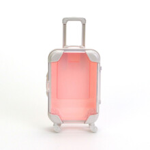 WZXPWT Small Transparent Suitcase, Compact Travel Trolley Case, Mini Storage Organizer, Clear Visibility Luggage, Durable Travel Case