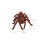 RC Spider Toy with Light-Up Eyes Silent Crawling 1 Pack 7