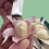 Stainless Steel Garlic Peeler Set 2-Piece 3