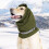 Dog Waterproof Hoodie with Reflective Ears for Medium/Large 4