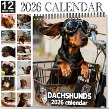 Dachshund 2026 Wall Calendar – Cute Dog-Themed Monthly Calendar for Home/Office, Fun Gift for Dog Lovers, Compatible with Holidays & Birthdays