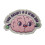 1 PCS Your Anxiety is a Wrong Hog Brain Patch Embroidered Patch 1