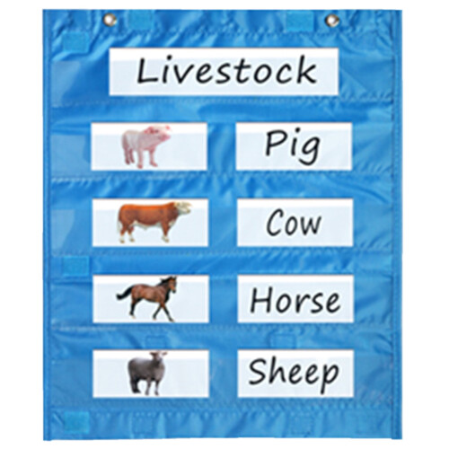 Magnetic Classroom for Whiteboard, Magnetic for Daily Schedule, Activity, Class Demonstrations