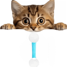 Stevig kauwspeeltje voor katten met kattenkruid – Zachte, interactieve schopstick voor binnenkatten (blauw, 1 stuk)