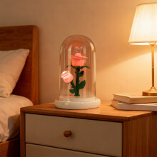 Nachtlampje met warme gloed en geconserveerde bloem – Romantisch Valentijnsdagcadeau, decoratieve lamp voor de slaapkamer, werkt op USB-voeding.