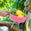Storage Basket Fruits Round Pink Plastic 1Pcs 4