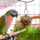 Bird Chewing Toy with Pine Cones for Small Medium Parrots 3
