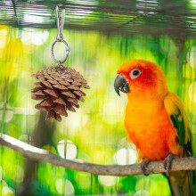 Bird Toys Parrot Toys, Bird Chewing Toy with Pine Cones for Small and Medium-Sized Parakeets Cockatiels Parrots Birdlovers Gifts
