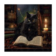 Wooden Animal Puzzle Black Cat Irregular Shape
