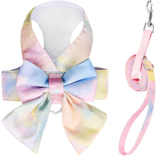 Schattig hondentuigje en riem met strikje, elegant puppytuigje met regenboogverloop, anti-trek, zacht mesh, geschikt voor kleine honden en katten,